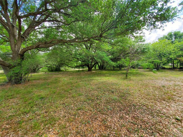 TBD Avenue D, Van Vleck, TX 77482