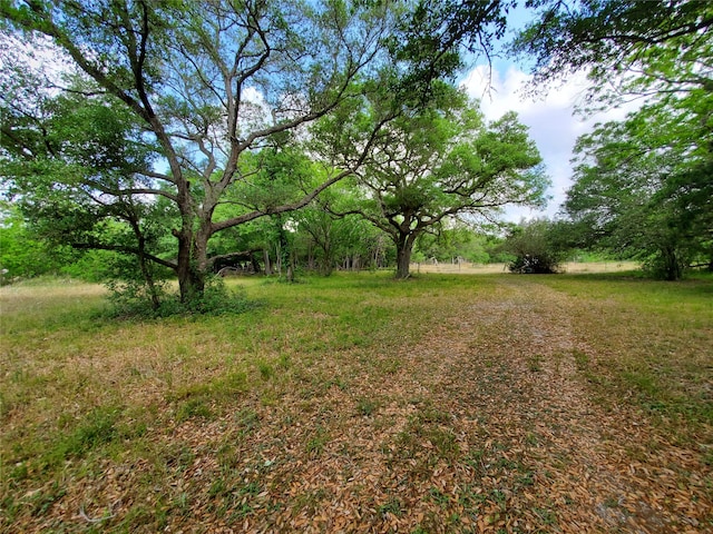 Listing photo 3 for TBD Avenue D, Van Vleck TX 77482