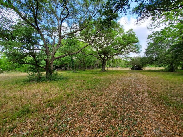 TBD Avenue D, Van Vleck, TX 77482
