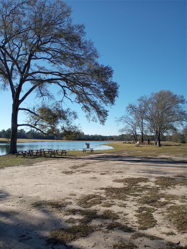 15785 Woodlife Rd, Willis, TX 77378 - photo 5