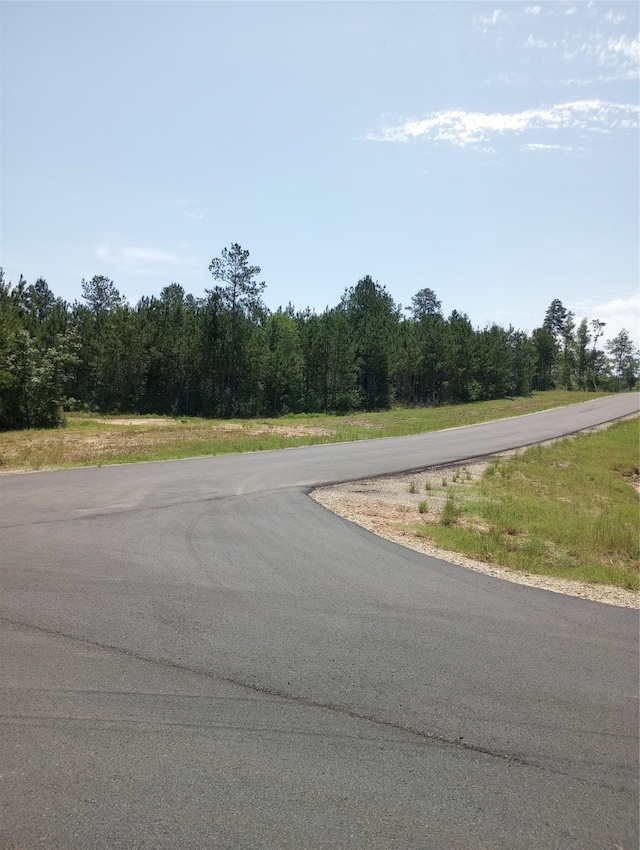 15785 Woodlife Rd, Willis, TX 77378 - photo 4