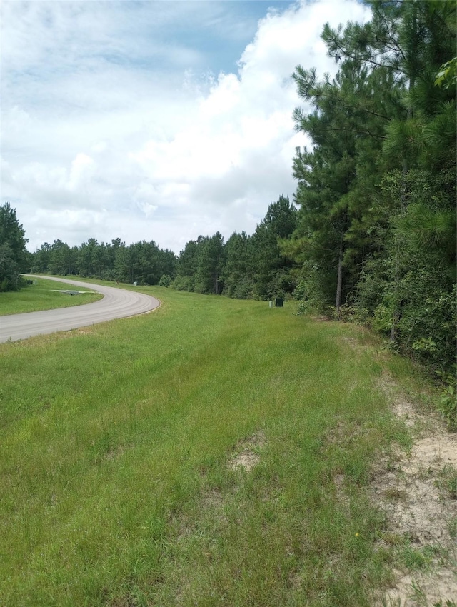 15785 Woodlife Rd, Willis, TX 77378 - photo 2