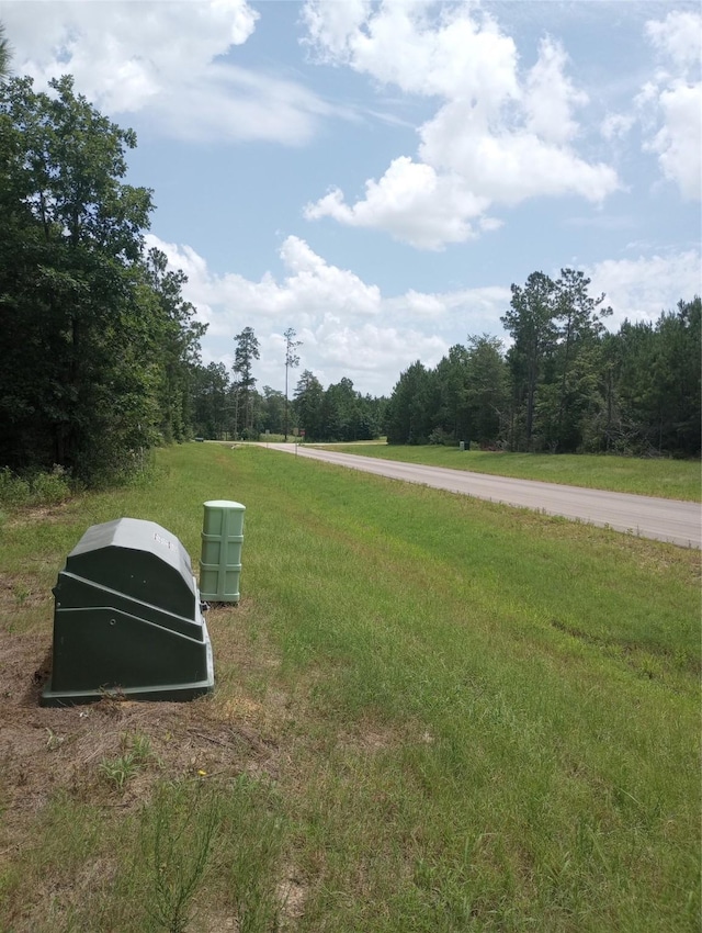 15785 Woodlife Rd, Willis, TX 77378 - photo 3