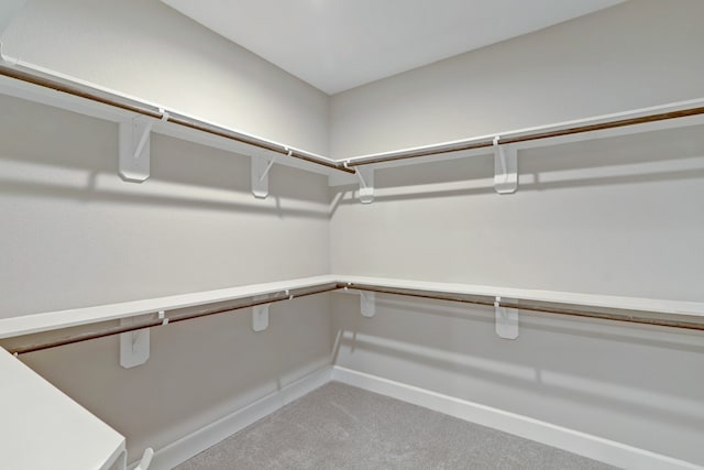 walk in closet with light colored carpet