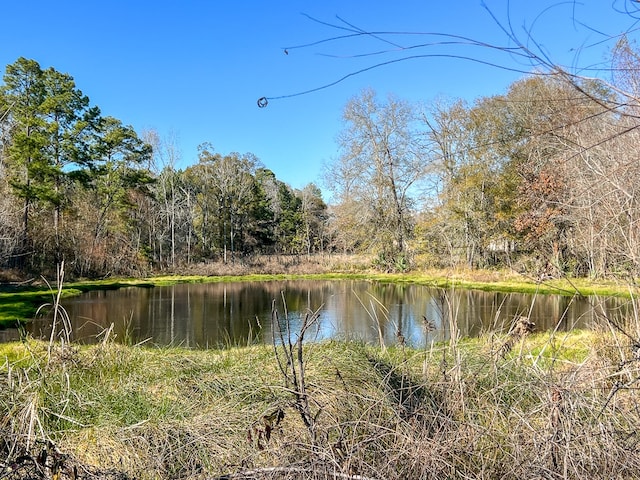 Listing photo 3 for 1 Moorhead Rd, Conroe TX 77302