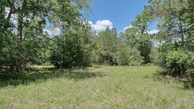 26620 Hunters Ridge Rd, Hockley TX, 77447 land for sale