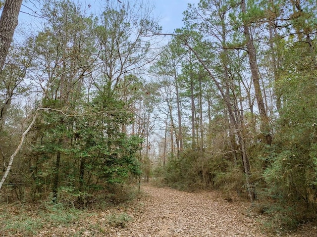 view of landscape