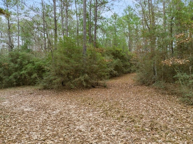 view of nature