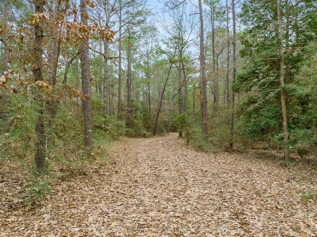 view of nature