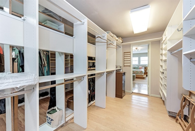 walk in closet featuring light wood-type flooring