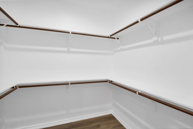 spacious closet featuring dark wood-type flooring