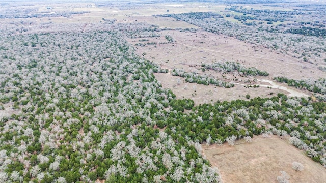 0000 Brown Rd, Flatonia TX, 78941 land for sale