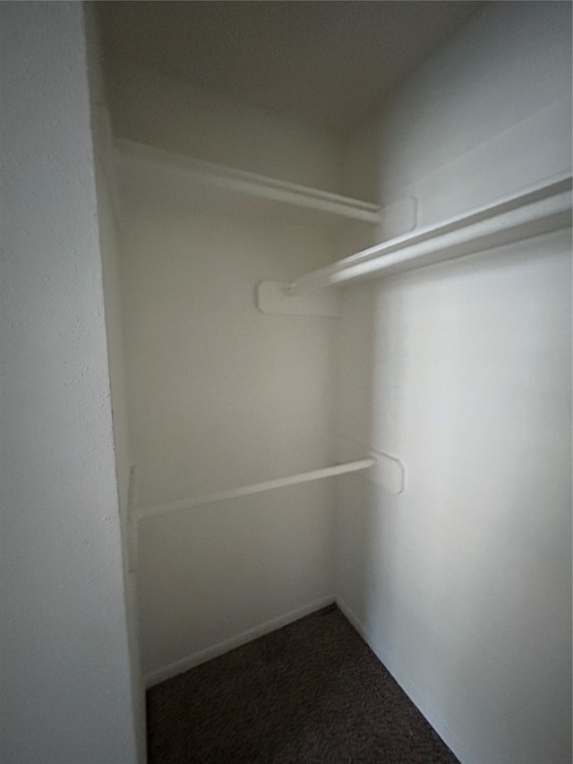 walk in closet with carpet flooring