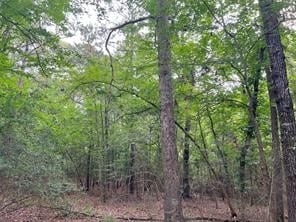 00 Utley Rd, Huntsville TX, 77340 land for sale