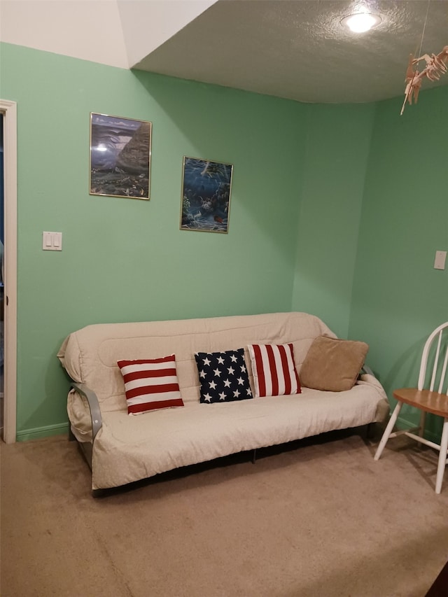 carpeted living room with a textured ceiling