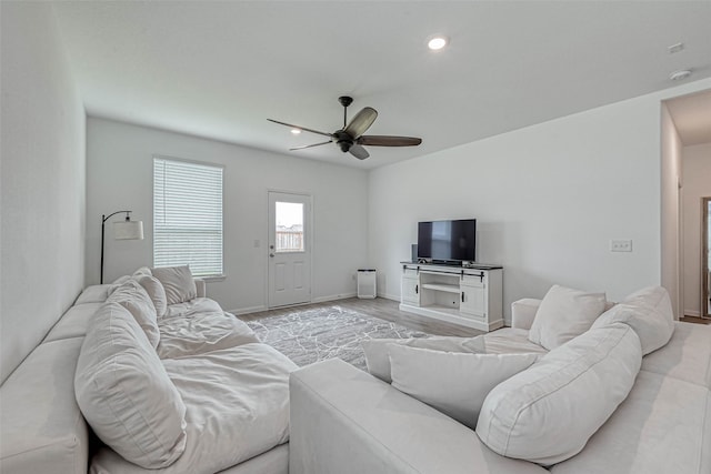 living room featuring ceiling fan and light hardwood / wood-style flooring