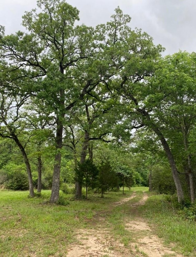 1803 Doe Run Dr, Cistern TX, 78959 land for sale