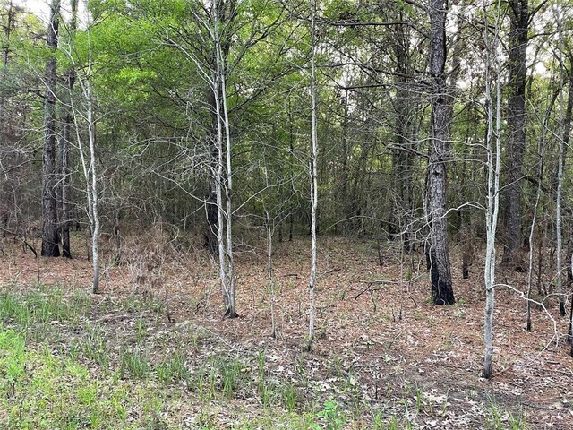 LOT430 Parkpine St, Livingston, TX 77351 - photo 5