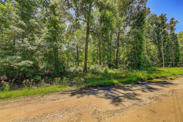 LOT430 Parkpine St, Livingston, TX 77351 - photo 6