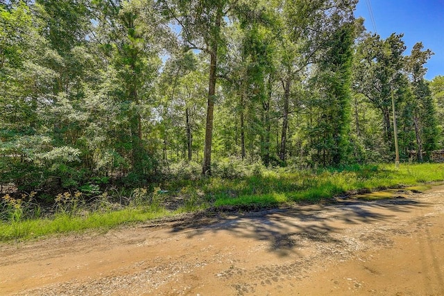 Listing photo 3 for LOT431 Parkpine St, Livingston TX 77351