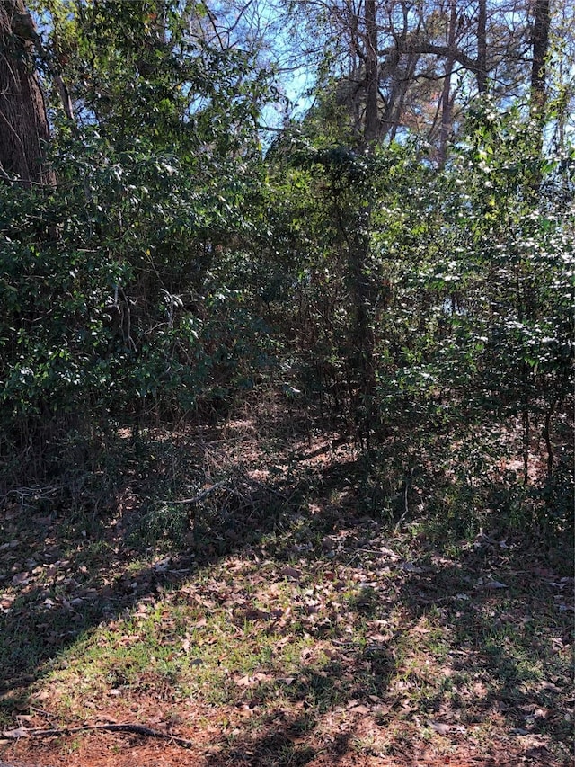 389 Live Oak, Trinity, TX 75862 - photo 2