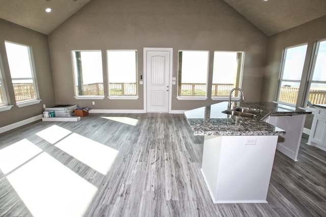 kitchen featuring an island with sink, plenty of natural light, dark wood-type flooring, and sink