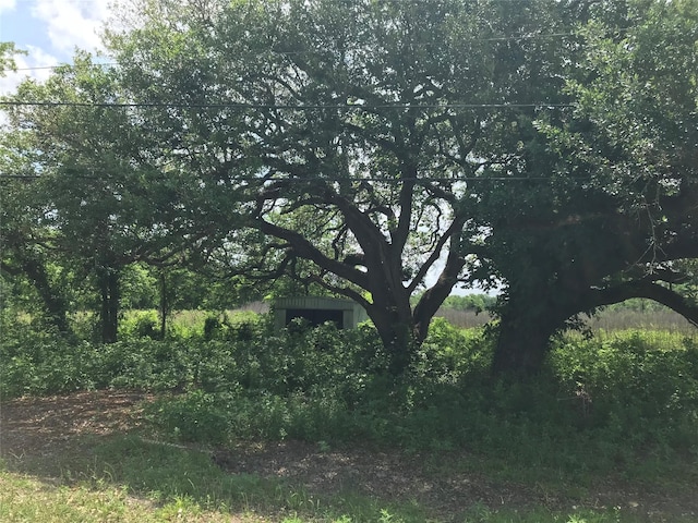 6731 N Masters St, Manvel, TX 77578 - photo 1