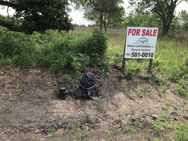 6731 N Masters St, Manvel, TX 77578 - photo 7