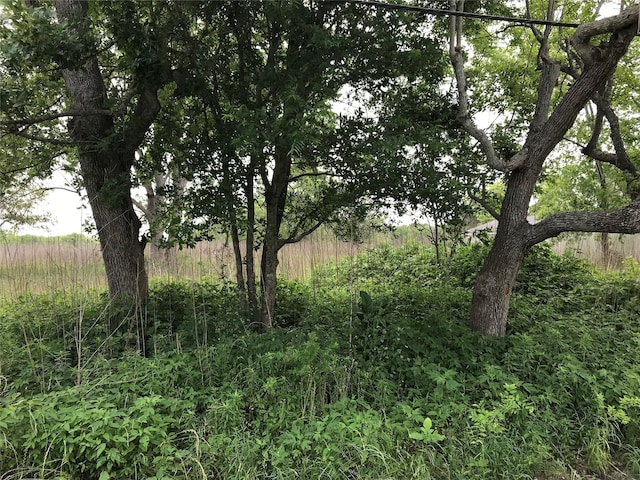 6731 N Masters St, Manvel, TX 77578 - photo 9