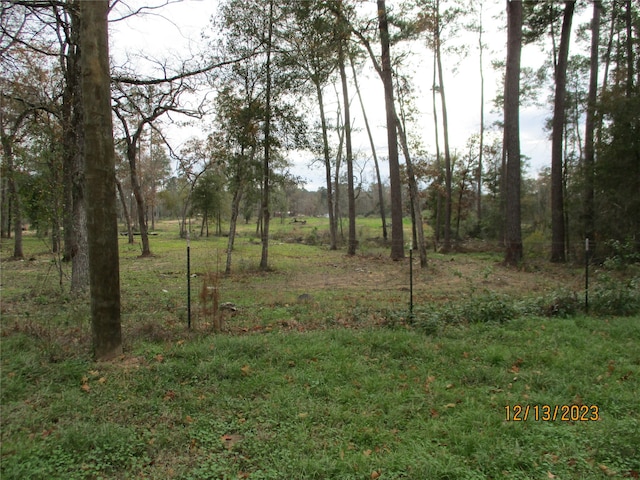 TBD Gaffe Rd, Magnolia TX, 77355 land for sale