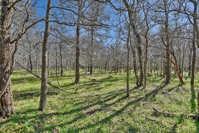 Listing photo 3 for TBD Sunshine Ln, Smithville TX 78957