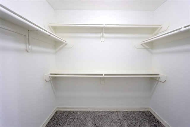 spacious closet featuring carpet floors