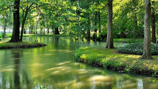 view of nearby features with a water view