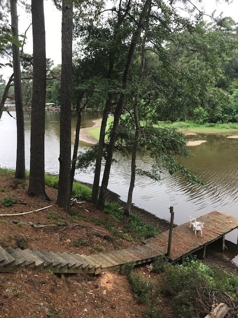 water view featuring a boat dock