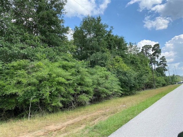 33000 Wedgewood Dr, Magnolia TX, 77354 land for sale