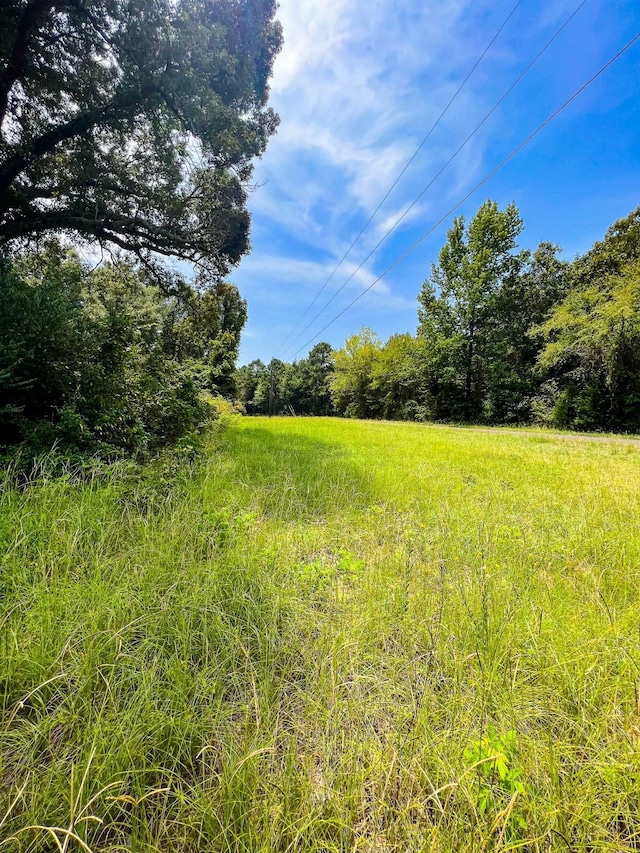 000 County Road 4606, Troup TX, 75989 land for sale