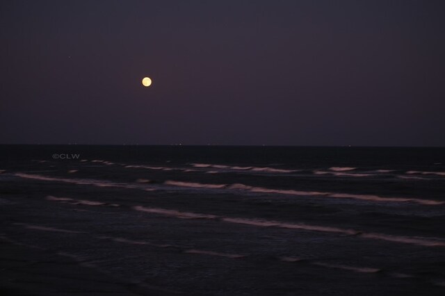 11949 Termini San Luis Pass Rd Unit 302, Galveston, TX 77554 - photo 32