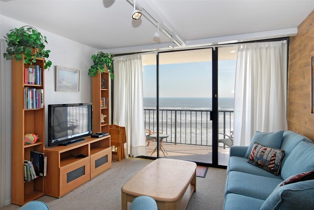 11949 Termini San Luis Pass Rd Unit 302, Galveston, TX 77554 - photo 4