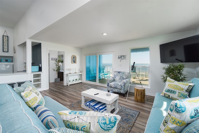 living room with hardwood / wood-style floors