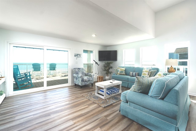 living room featuring dark hardwood / wood-style floors