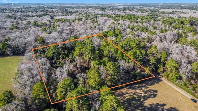 TBD Copperhead Rd, Conroe, TX 77303 - photo 5