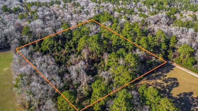 TBD Copperhead Rd, Conroe, TX 77303 - photo 1