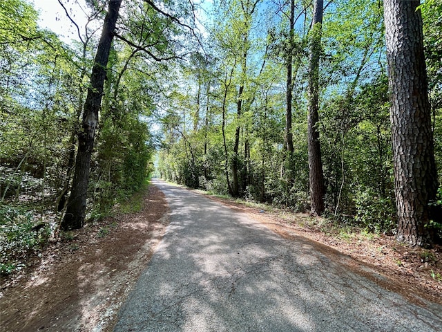 Listing photo 2 for TBD Copperhead Rd, Conroe TX 77303