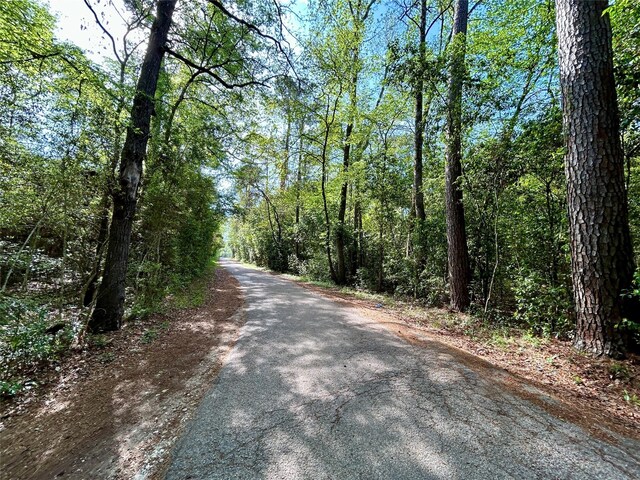 TBD Copperhead Rd, Conroe, TX 77303 - photo 2