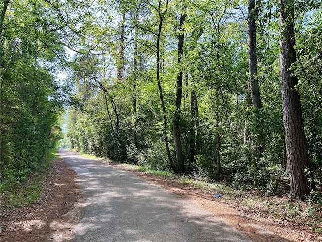 TBD Copperhead Rd, Conroe, TX 77303 - photo 6