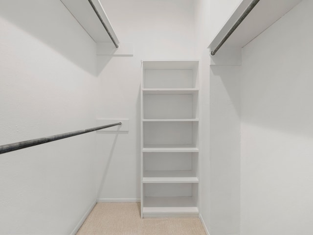 spacious closet with carpet flooring