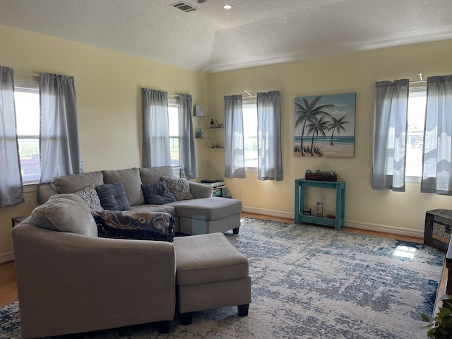 239 Heron St Unit Cr299, Sargent, TX 77414 - living area with healthy amount of natural light, a textured ceiling, baseboards, and wood finished floors