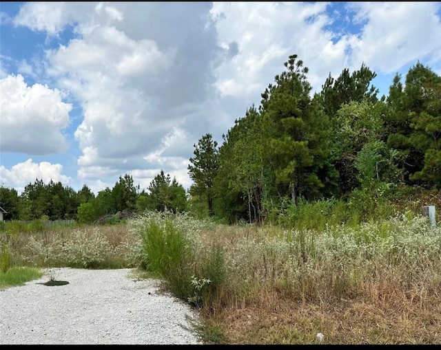294 Rd 5242, Cleveland, TX 77327 - photo 5