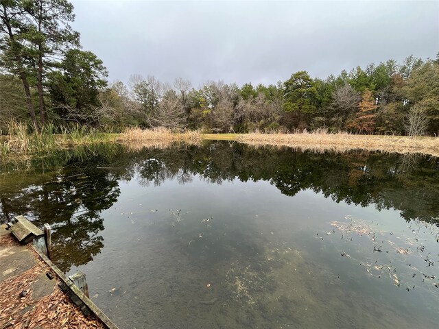 view of property view of water