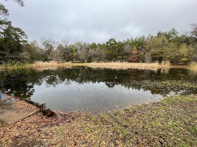 view of water feature